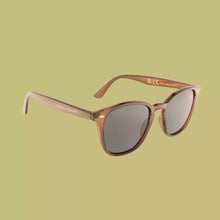 Lunettes de soleil Cooper - Marron