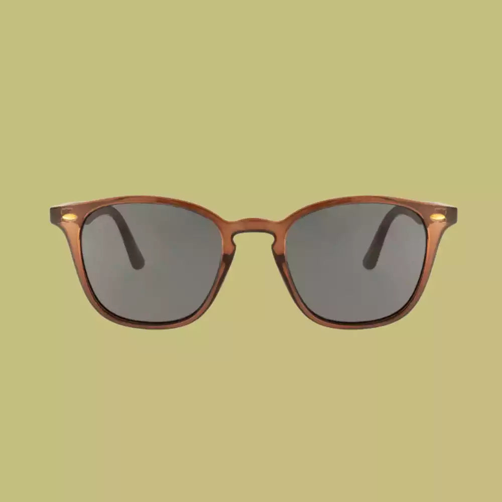 Lunettes de soleil Cooper - Marron
