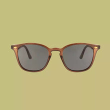 Lunettes de soleil Cooper - Marron