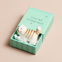 Mini boîte - Chat