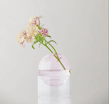 Vase bubble - Rose