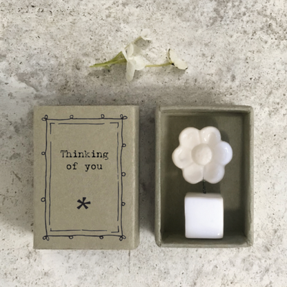 Mini boîte fleur - Thinking of you