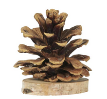 Pomme de pin - socle bois