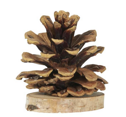 Pomme de pin - socle bois