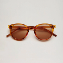 Lunettes adulte - Classic Ambre