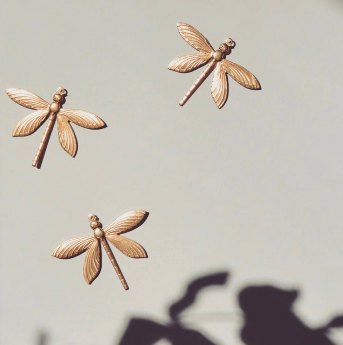 Trio de libellules