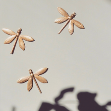 Trio de libellules