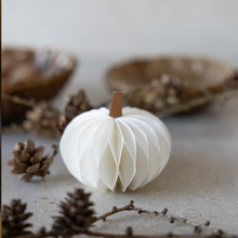 Citrouille en papier à poser - Blanche