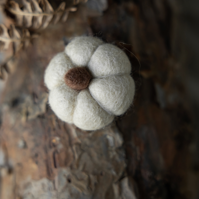 Citrouille en feutrine à poser - Beige