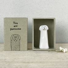 Mini boîte - You are pawsome