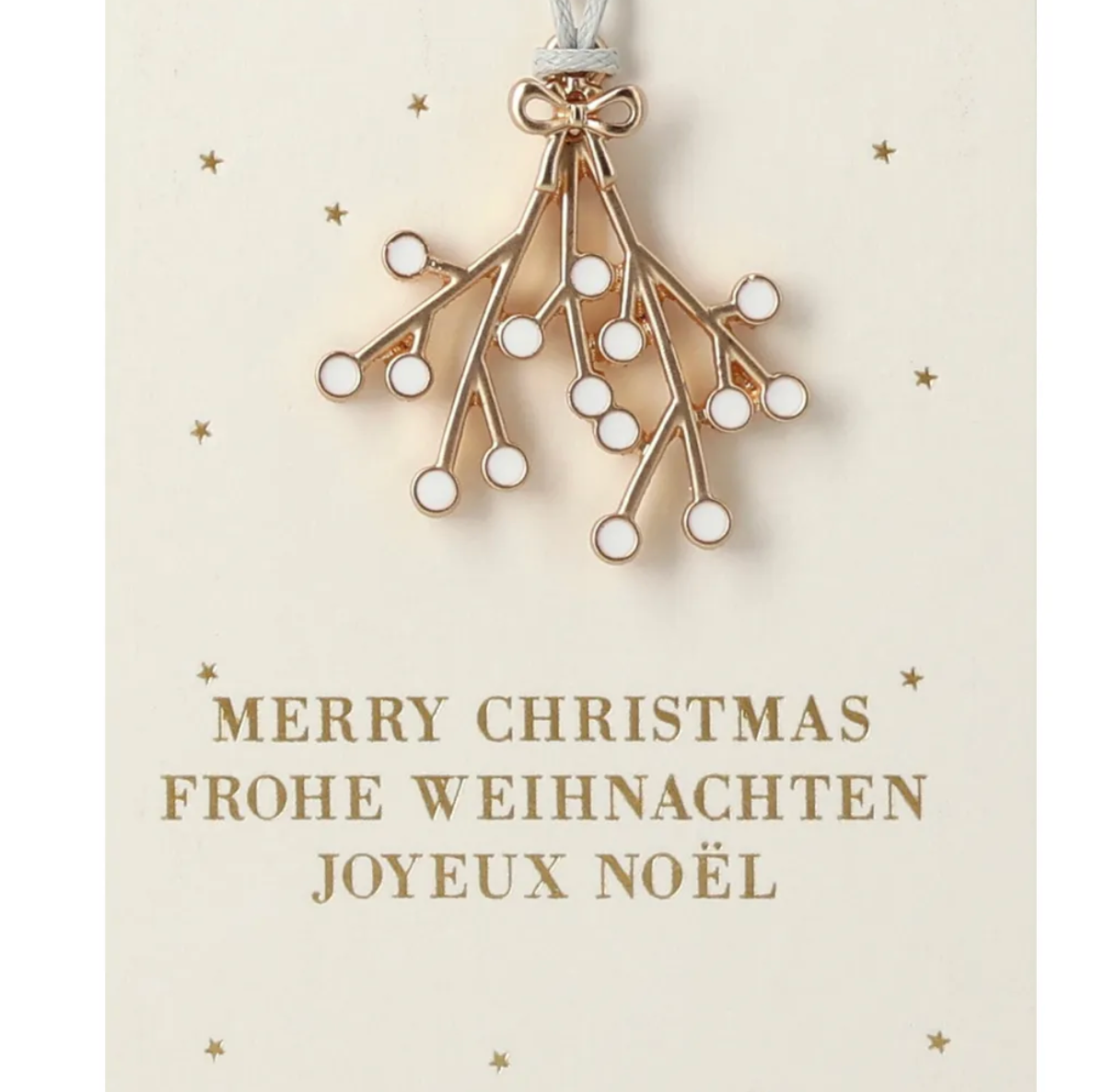 Branche de gui à suspendre - Merry Christmas