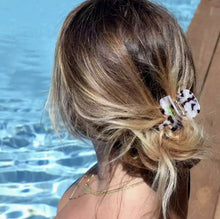 Jolie pince - Écaille