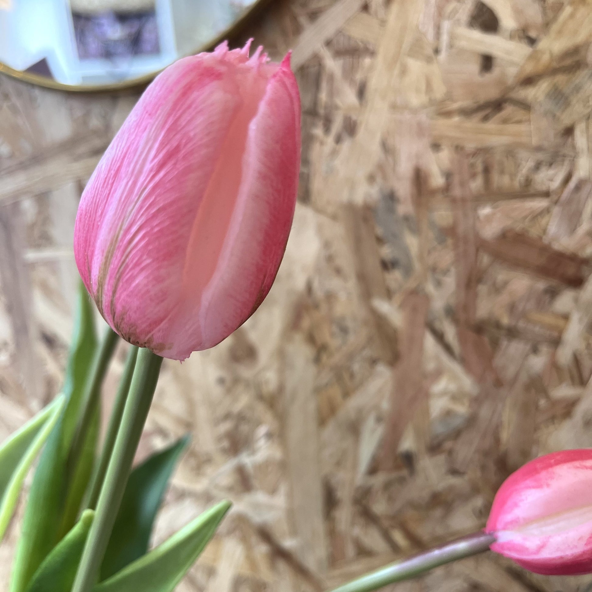 Bouquet de tulipes - Rose