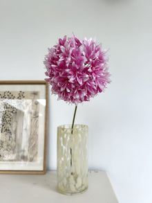 Alium - Rose