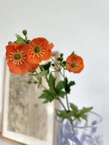 Branche de boutons d'or - Orange