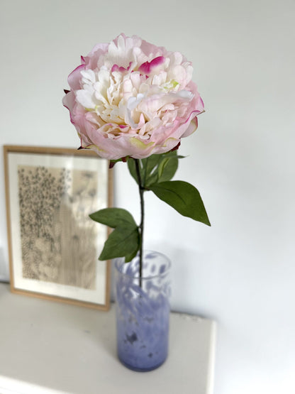 Pivoine - Rose