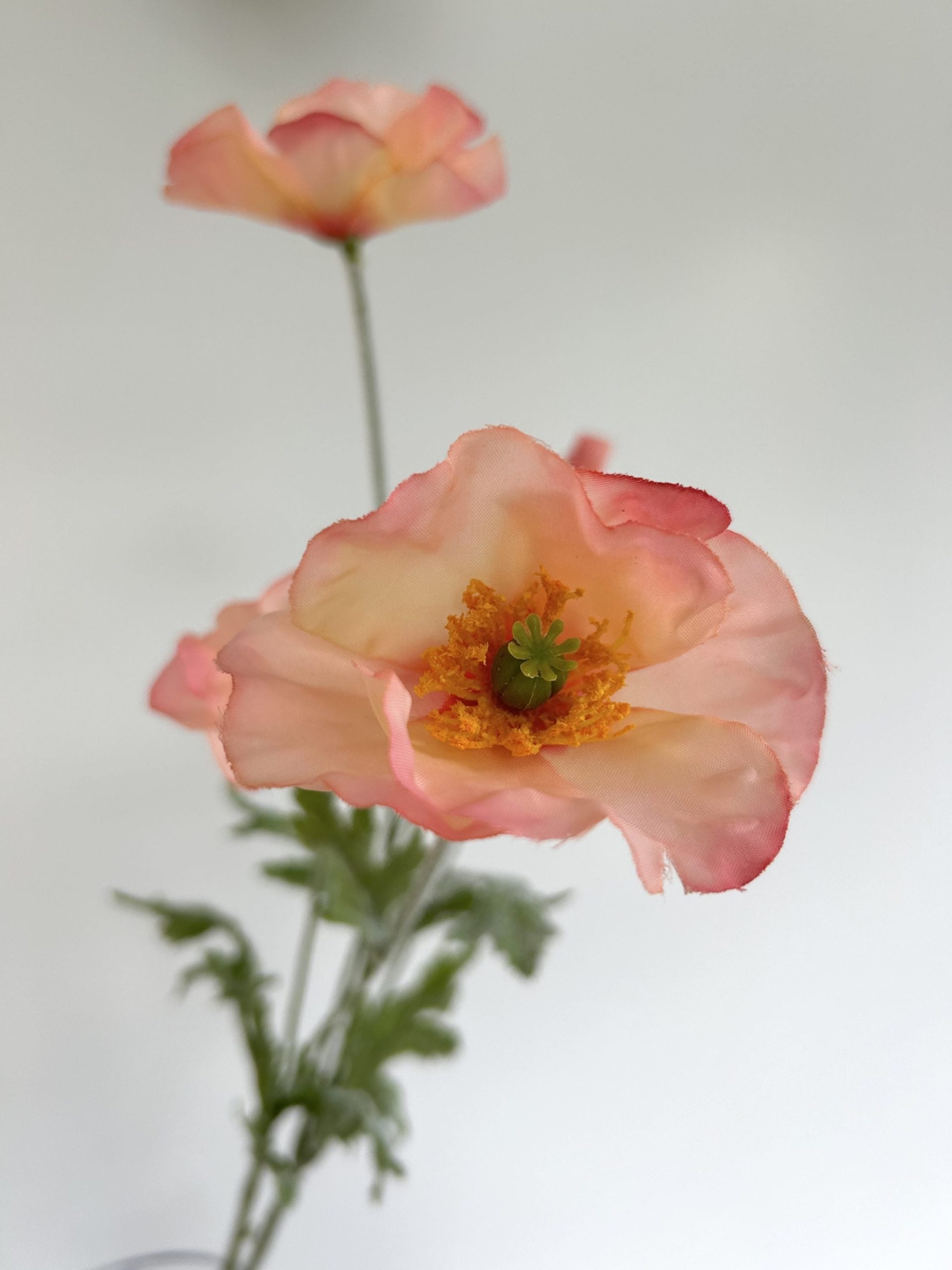 Branche de coquelicots - Saumon