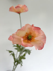 Branche de coquelicots - Saumon