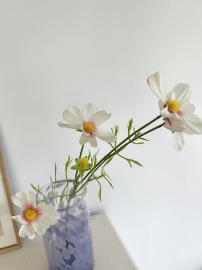 Branche de cosmos
