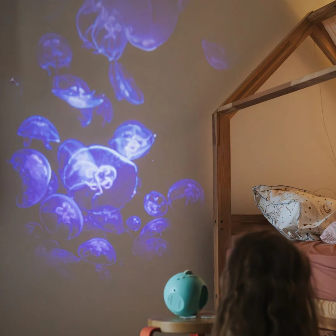 Kidystar projecteur océans et mers