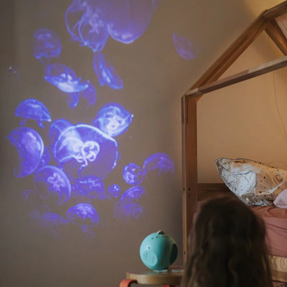 Kidystar projecteur océans et mers