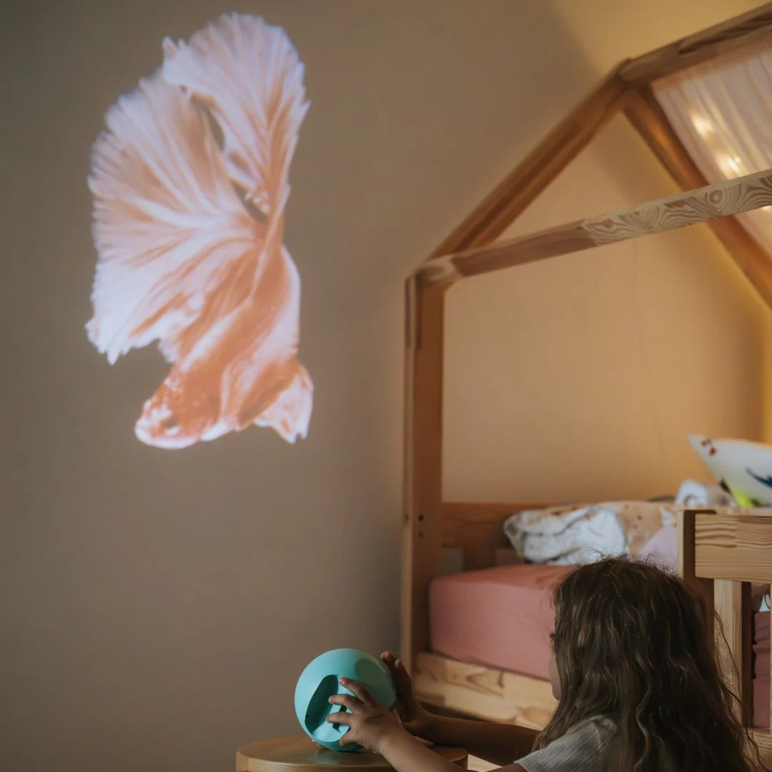 Kidystar projecteur océans et mers
