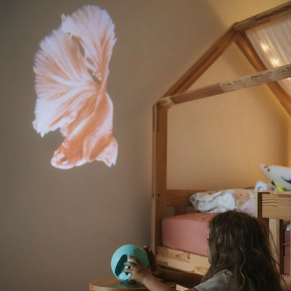 Kidystar projecteur océans et mers