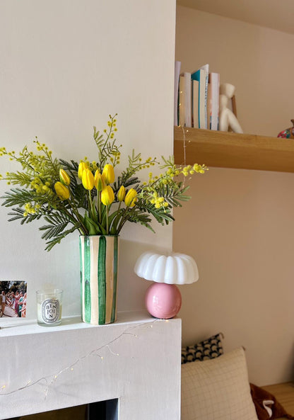 Branche de mimosa