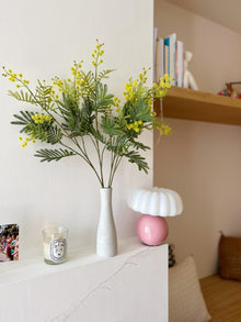 Branche de mimosa