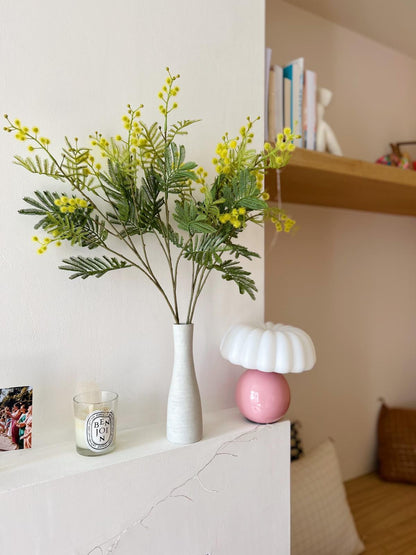 Branche de mimosa