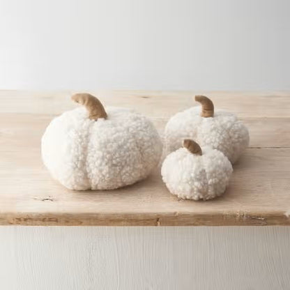 Citrouille sherpa blanche - PM