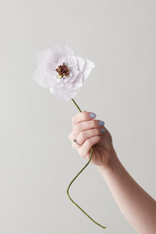 Fleur - Poppy Violet