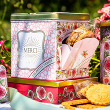 boite de sablés la sablésienne pépites de chocolat 200g