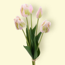 Bouquet de tulipes - Perroquet Rose