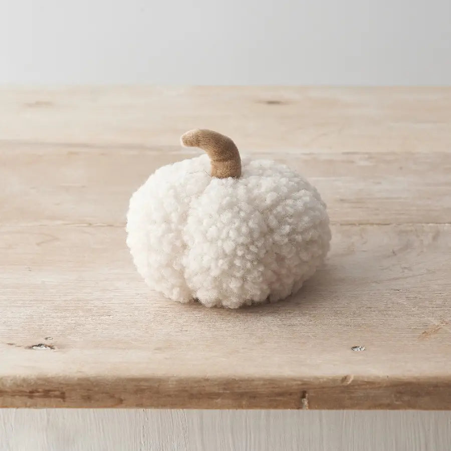 Citrouille sherpa blanche - MM