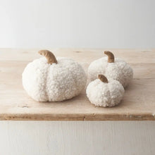 Citrouille sherpa blanche - MM