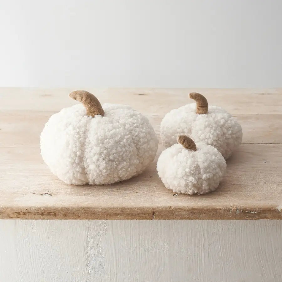 Citrouille sherpa blanche - GM