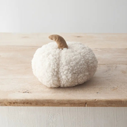 Citrouille sherpa blanche - GM