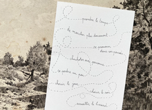 Carte - Déambuler