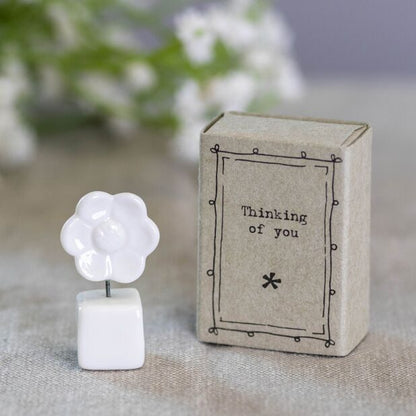 Mini boîte fleur - Thinking of you