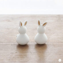 Duo de mini lapins - Blanc