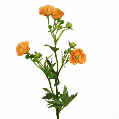 Branche de boutons d'or - Orange
