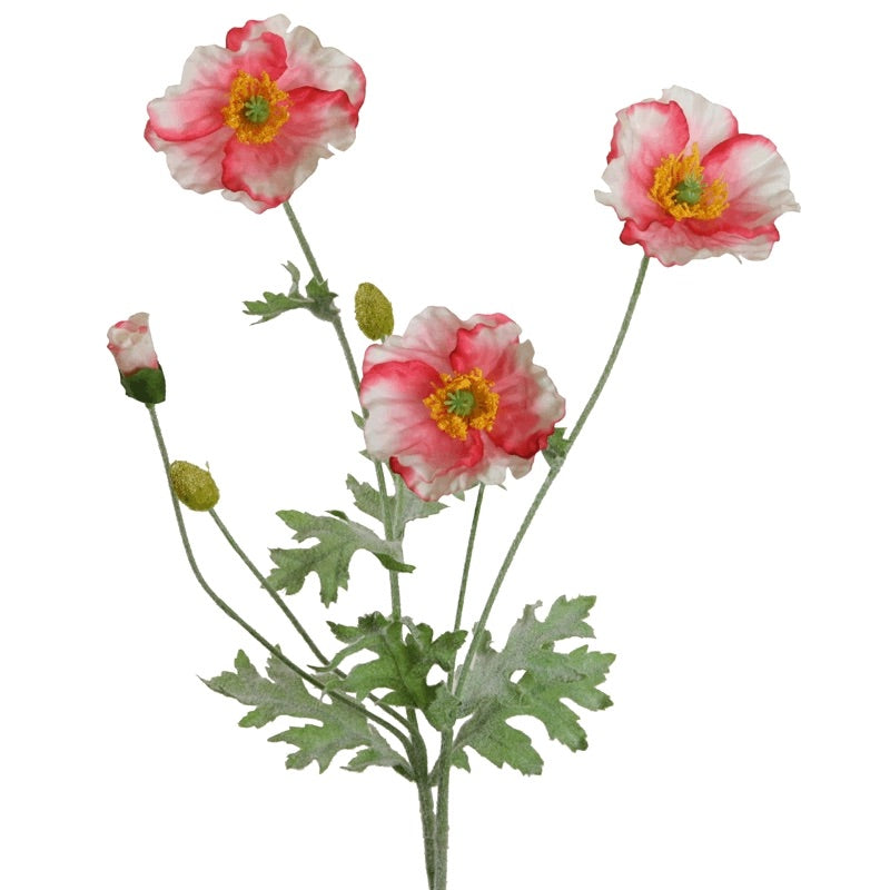 Branche de coquelicots - Rose