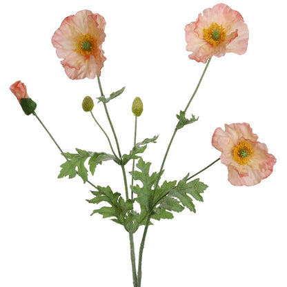 Branche de coquelicots - Saumon