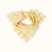 foulard-fayara-picnic-apaches-1