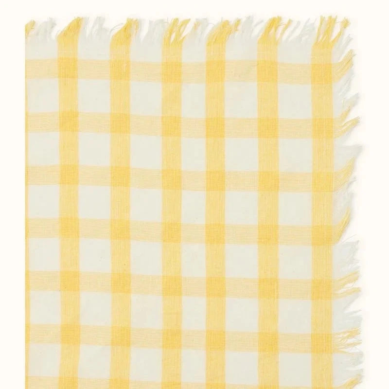 foulard-fayara-picnic-apaches-3