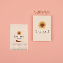 graines de tournesol 