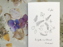 Carte - Il pleut