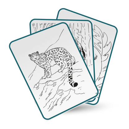 kidydrawpad animals