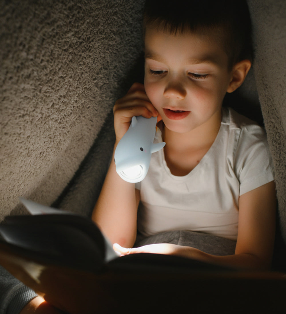 lampe de poche dauphin little l 